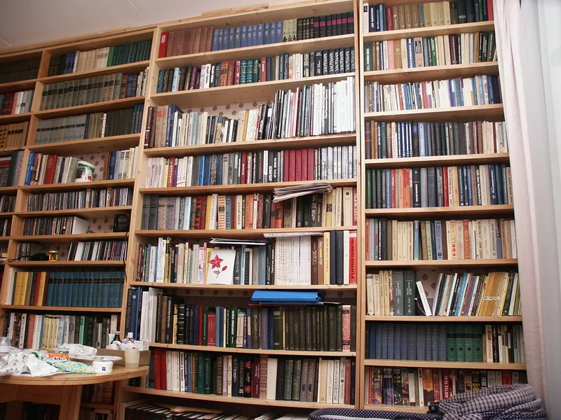 Деревянные книжные стеллажи с книгами в библиотеке